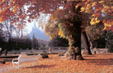 Example content image: left-align